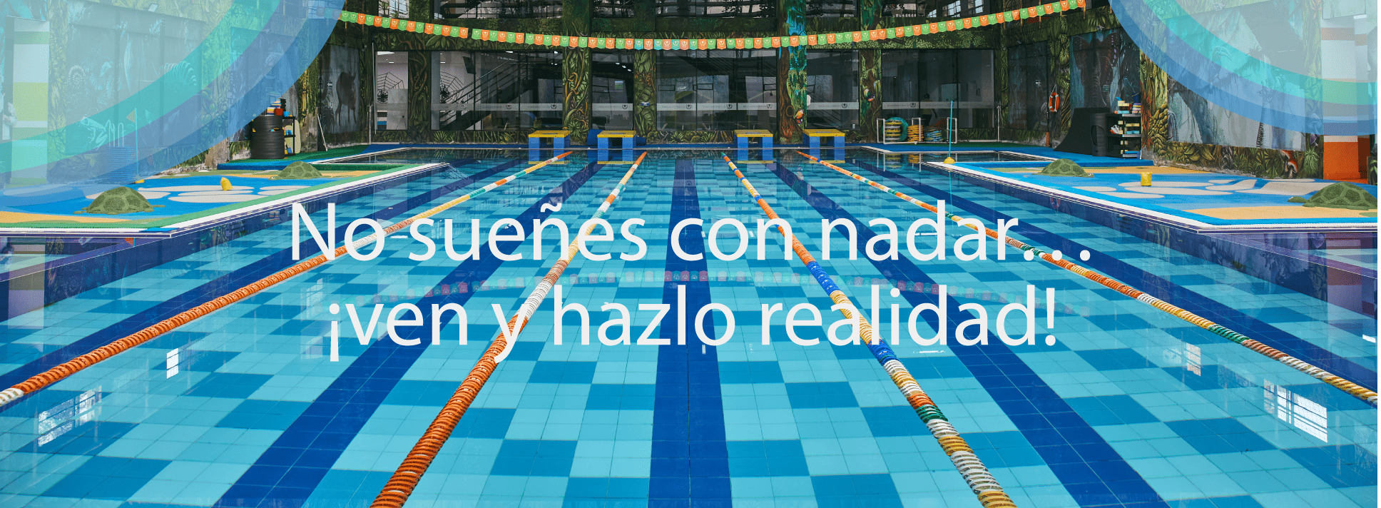 fondo-1
